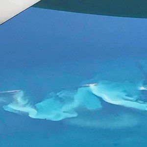 Meet your Posher, Terri